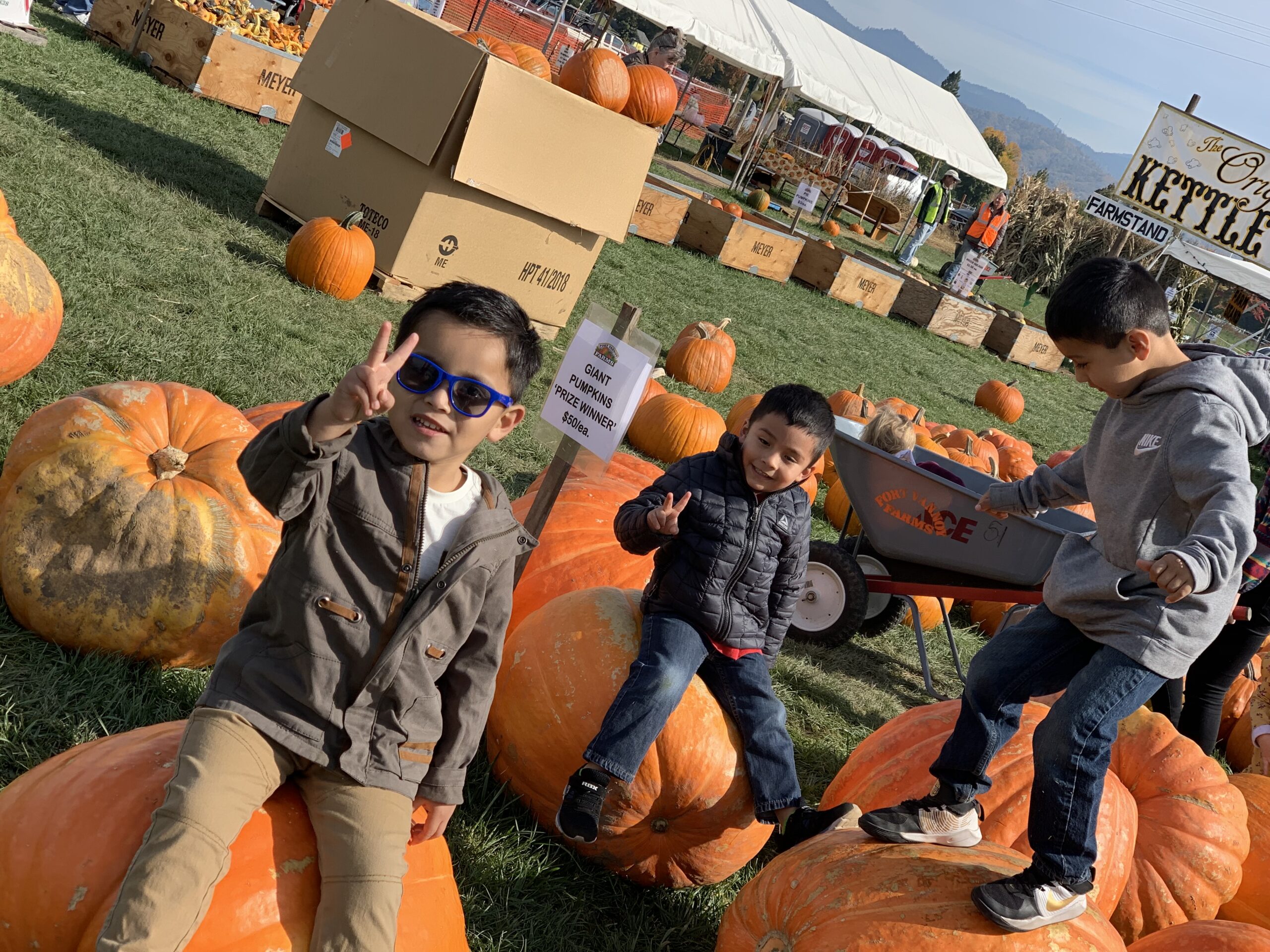 Pumpkin Patch Field Trip